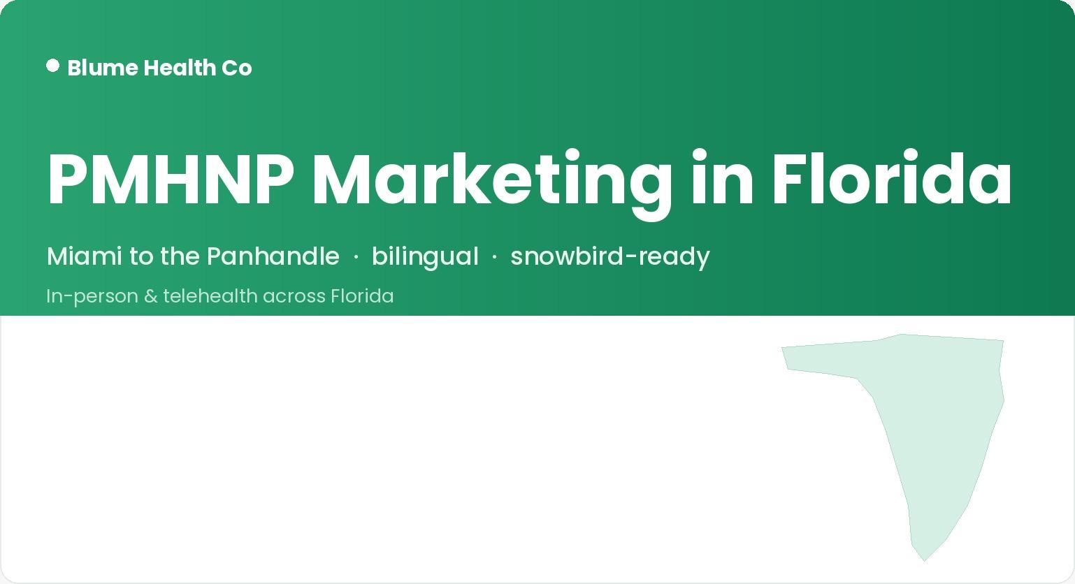 Florida mental health marketing local search preview
