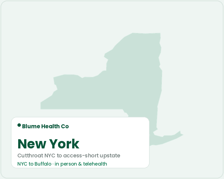 PMHNP Marketing in New York — Blume Health Co
